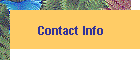 Contact Info